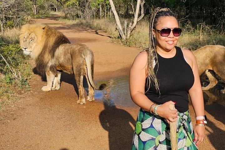 Lion Walk guidad tur äventyr