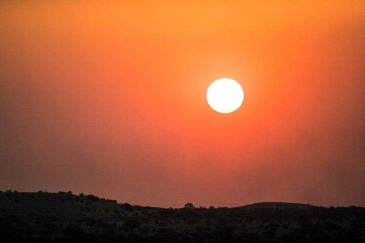 Tour Safari all'alba o al tramonto del Parco Nazionale Pilanesberg