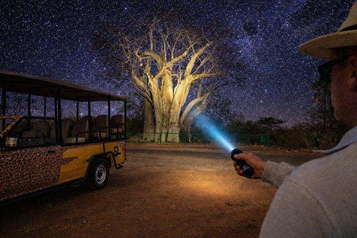 ガイド付き星空観察付き4×4ブッシュドライブ