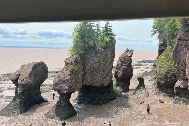 Tour privato di Saint John (NB) Bay of Fundy e Hopewell Rocks