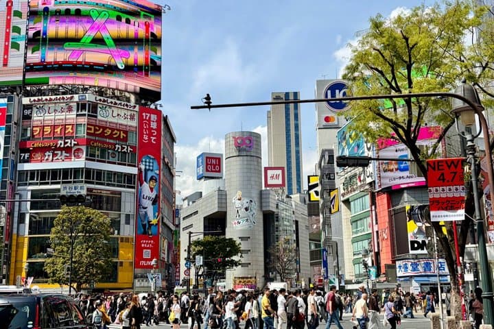 Tokyo Private Highlights Tour by Luxury Car with Local Guide