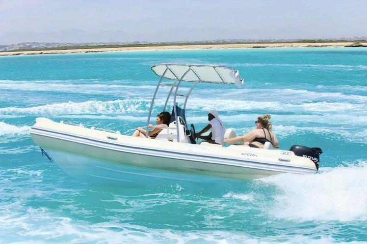 Privé 4 - Uur Speed Boat Sea Trip (dolfijnen, snorkelen, eiland)