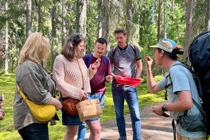 Caminata mágica por el bosque de Taiga con almuerzo y transporte