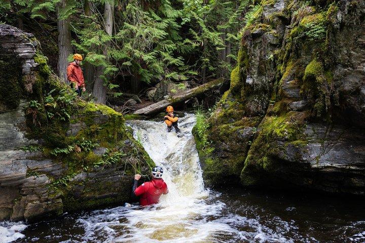 Adrenaline Canyoning Tour Kelowna - Fall, rappelling och äventyr