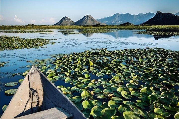 Halve dag Skadar Lake Boottocht met wijnproeverij