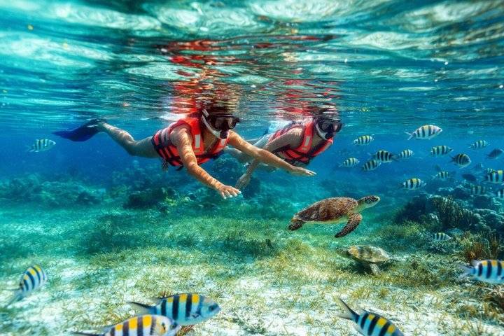 Snorkeling, Willemstad