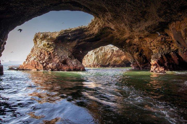 Heldagstur till Paracas, Ica med turisttransport från Lima