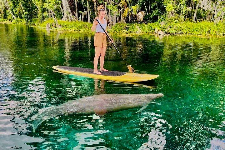 Excursão de Kayak em Silver Springs – Manatees & Monkeys Tour