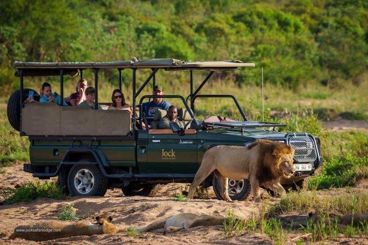 2 nätter och 3 dagars Kruger National Park Safari och panoramarutt