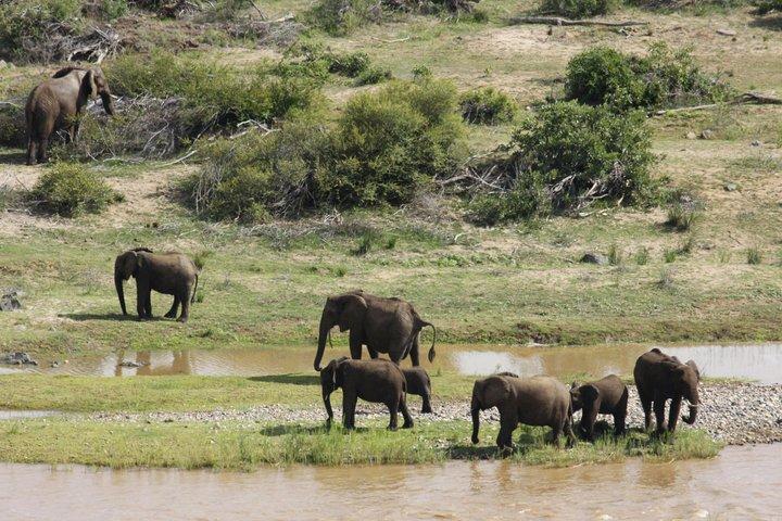 2 nätter och 3 dagars Kruger National Park Safari och panoramarutt