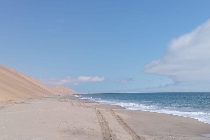 Excursion guidée 4x4 à Sandwich Harbour