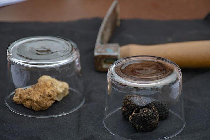 Tour privado con degustación de comida, vino, trufas y tiendas outlet en Piamonte.