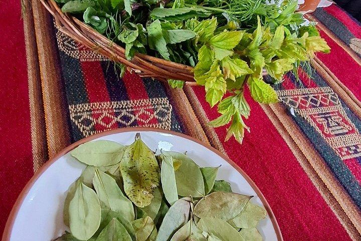 Amaru Community Lunch Experience et marché Pisaq