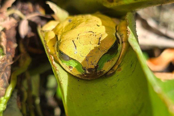 Private Wildlife Walk, Coffee Experience and Traditional Lunch