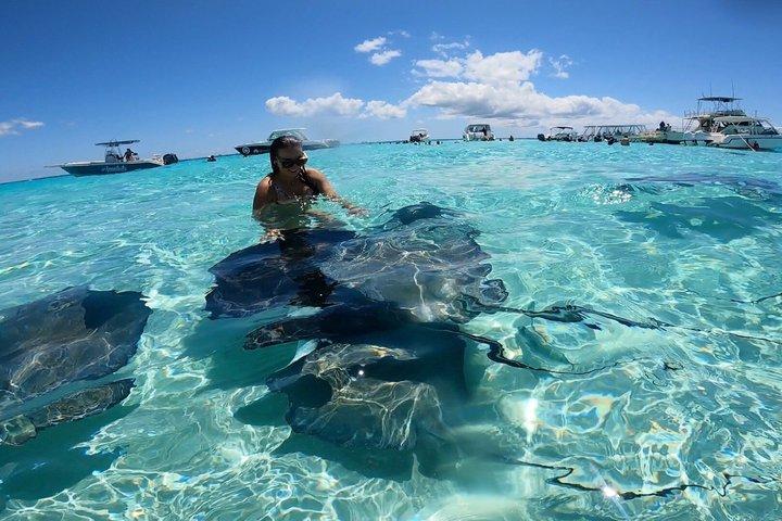 Privato Grand Cayman Boat Charters Stingray City e Snorkeling