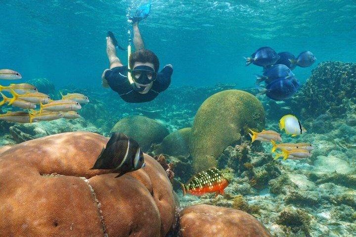 カリブ海で最も自然のままのプンタ カナ/ババロ/ラ ロマーナ カタリナ島
