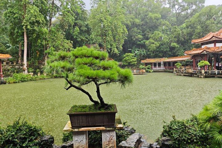 Shenzhen Private Car Charter, Flexible Customize city car Tour