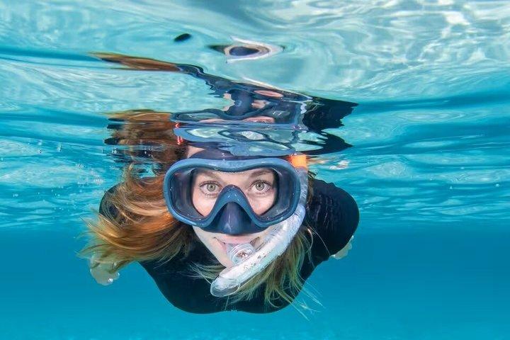 Aventura de snorkel en Lisboa en el Parque Natural de Arrábida