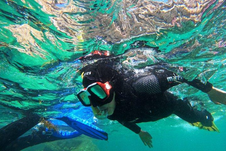 Aventura de snorkel en Lisboa en el Parque Natural de Arrábida