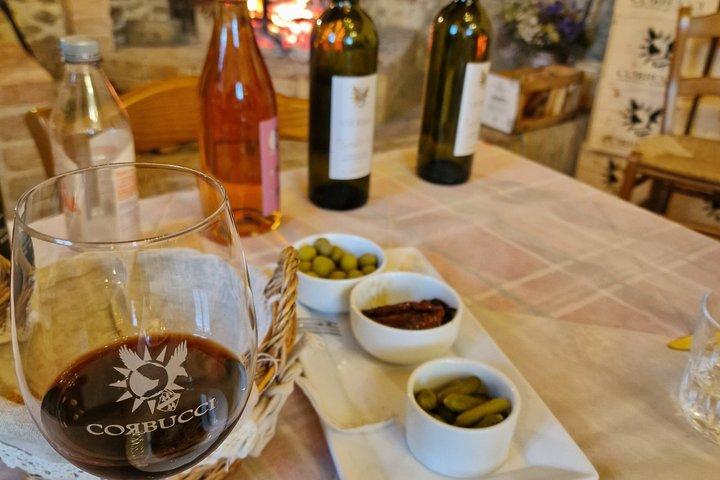 Cata de vinos en una hermosa villa toscana