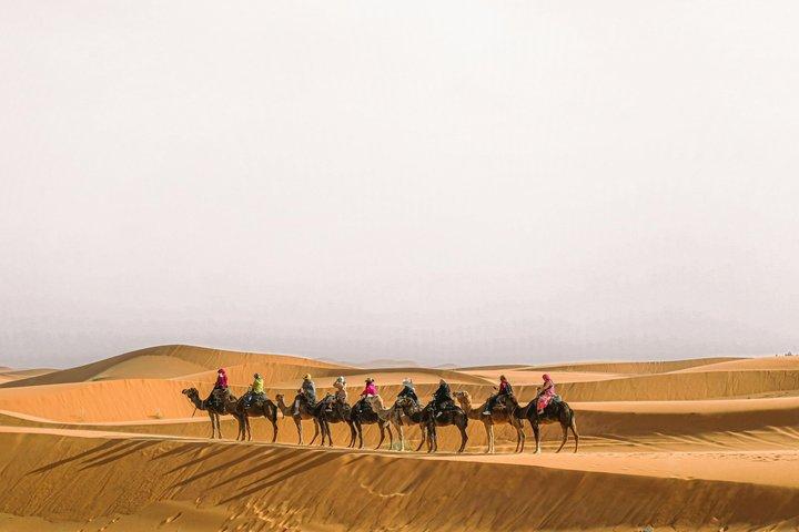 Acampamento noturno em Merzouga com passeio de camelo e sandboard