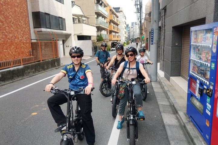 Tokyo: Private 2-Hour E-Bike Ride, City or Imperial Palace