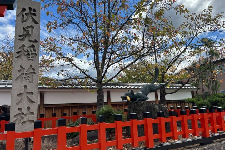 Kyoto Private Morning Tour: Fushimi Inari & teamLab Biovortex