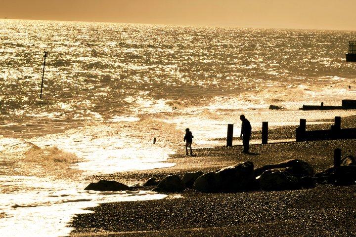 Brighton, Arundel & South Downs Privat lyxtur från London