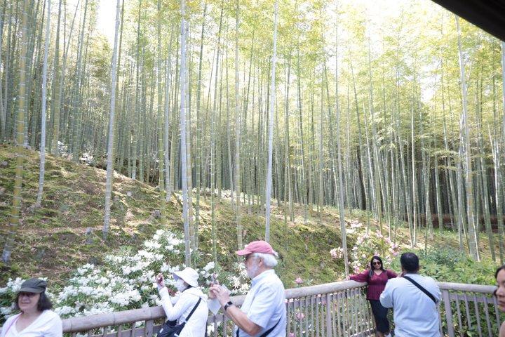 Kyoto E-Bike Tour durch Palast, Schloss, Tempel und versteckte Edelsteine