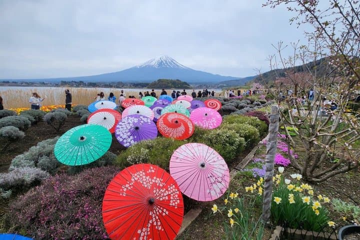 Private Tour of Mount Fuji with English speaking driver