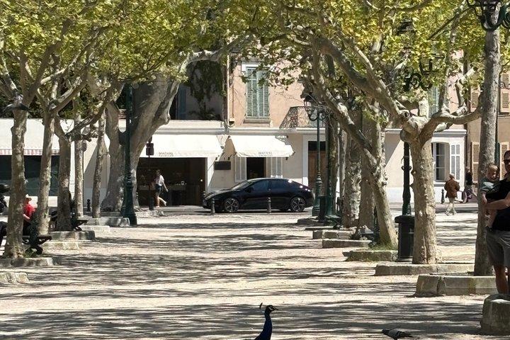 Visite privée de Nice à Saint Tropez, en Espagnol ou Anglais