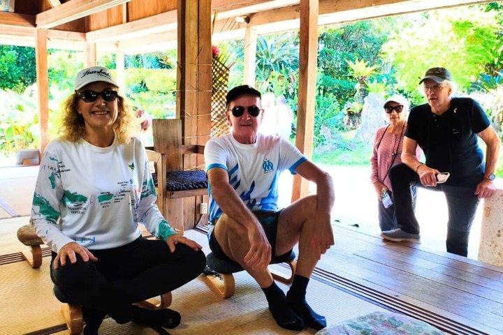 Escursione a terra Ishigaki all-inclusive per i passeggeri della crociera