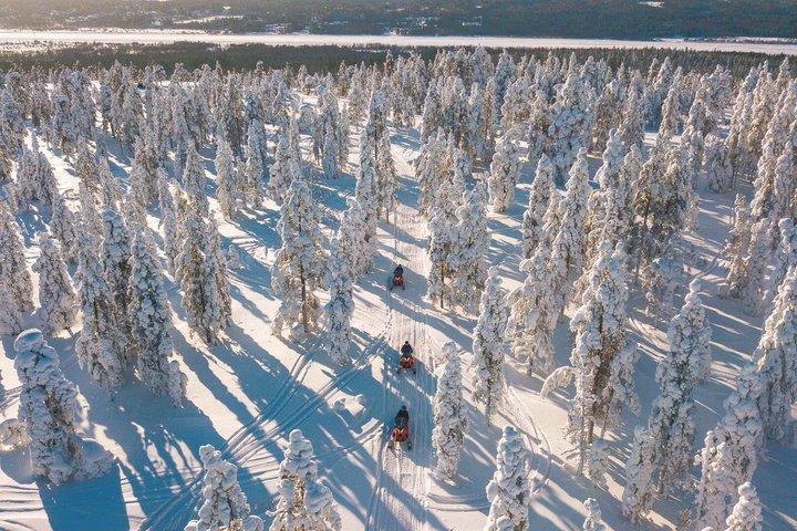 Snowmobile Safari into the Arctic Circle Forest