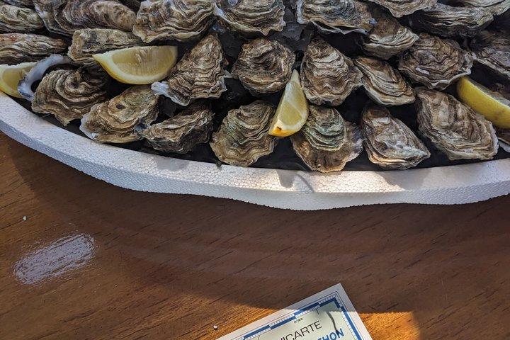 Privat dagstur till Arcachon Båtkryssning Ostron Dune du Pilat