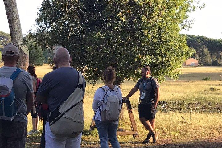 Promenade guidée dans le parc naturel de San Rossore