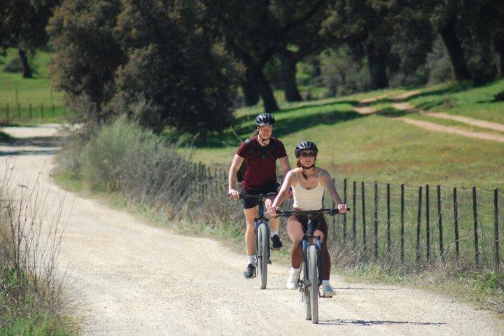 Tour in e-bike da Ronda a Setenil de las Bodegas