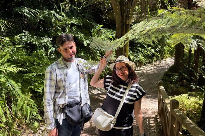 Best of Auckland Small Group Tour Top Attractions & Scenic Views