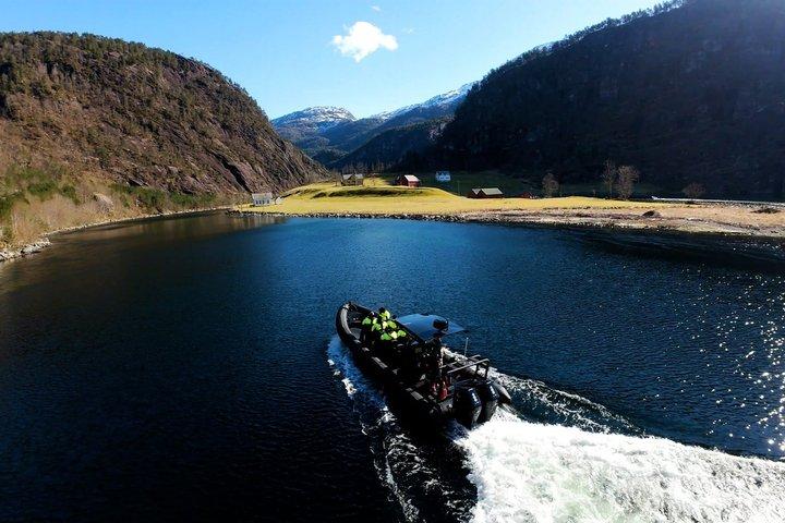 Bergen : Mostraumen Fjord Safari - mit Premium RIB Boot