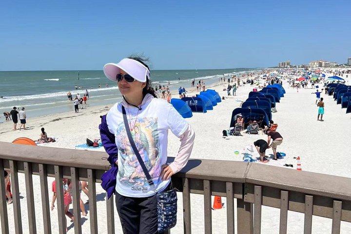 Flüge von Orlando nach Clearwater Dolphin Watch