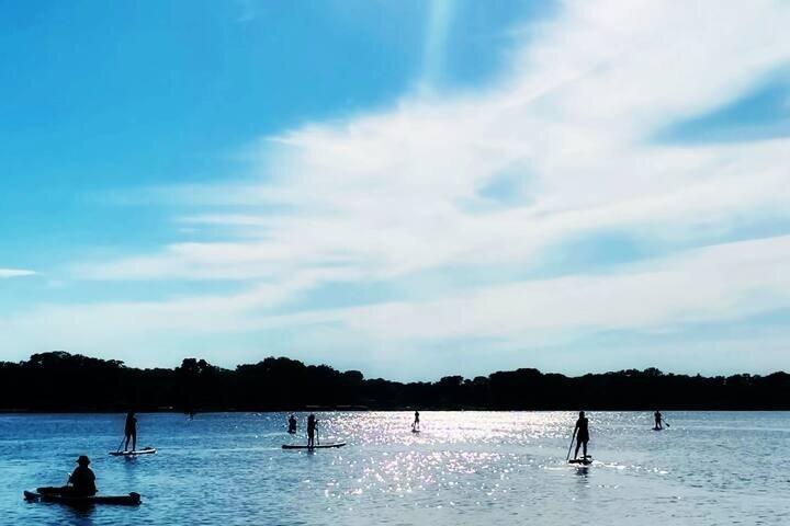 Paddleboard tour of the Minneapolis Chain of Lakes