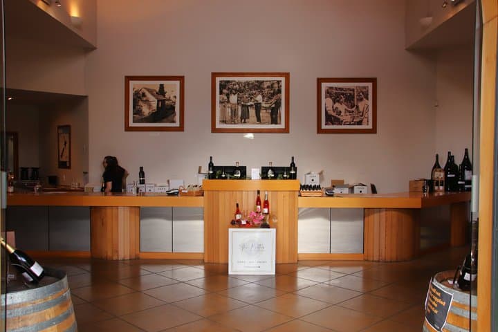 Kumeu Wine Tasting & Local Flavours Tour: Vines, Brews & Views