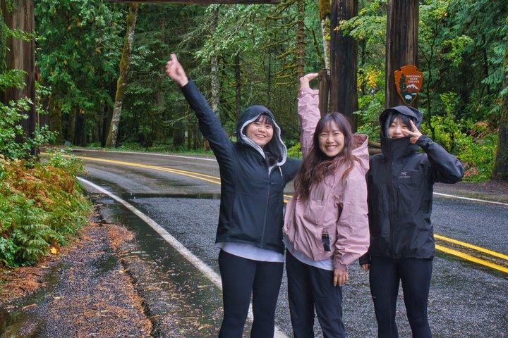 De Seattle: Excursão privada ao Mt. Rainier