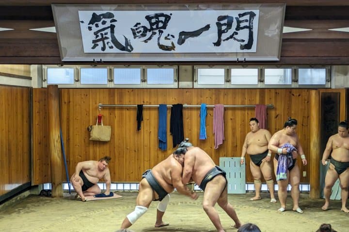 Sumo Practice Viewing Guided Tour and Photo with Sumo Wrestlers