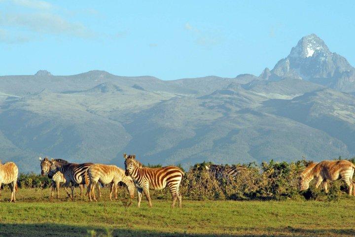Excursão de um dia no Monte Quénia a partir de Nairobi com almoço