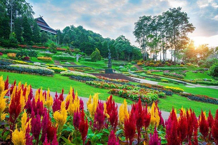 Sri Lanka Cultural e Highlights Tour Privado