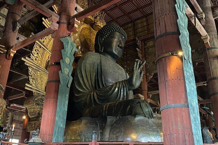Excursão de um dia de Nara de Osaka com Templo Deer e Cidade Velha