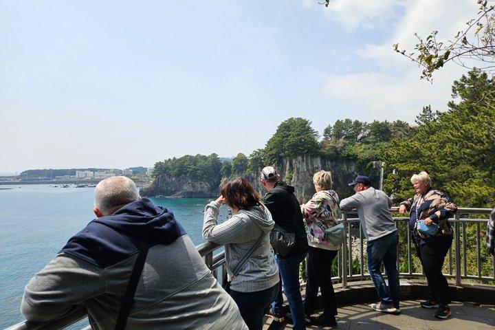 Private Jeju Shore Excursion (Gangjeong Port) : Seleziona il livello Guida