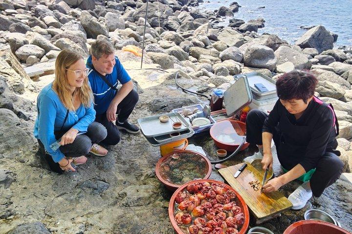 Private Jeju Shore Excursion (Gangjeong Port) : Seleziona il livello Guida