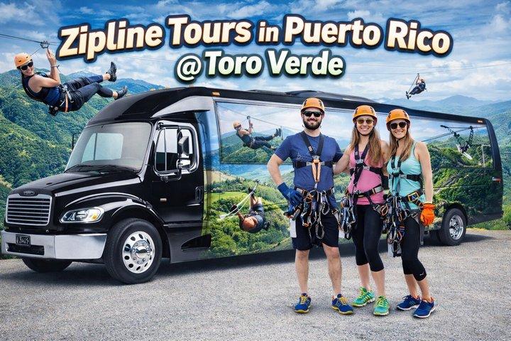 特典 : Toro Verde 7 - Zipline Tour + The Monster + Transport