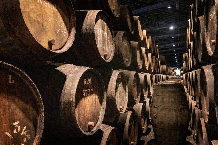 From Lisbon: Porto Private Day Tour with Wine or Boat Option